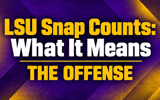 The Bengal Tiger's Shea Dixon looks at five things that stood out in LSU's Week 2 snap counts - including changes that came after Clemson.